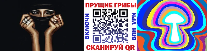 Галлюциногенные грибы прущие грибы ОМГ ОМГ онион Новоузенск